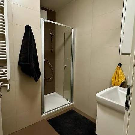 Lux Radnica Center- Free Parking דירה *